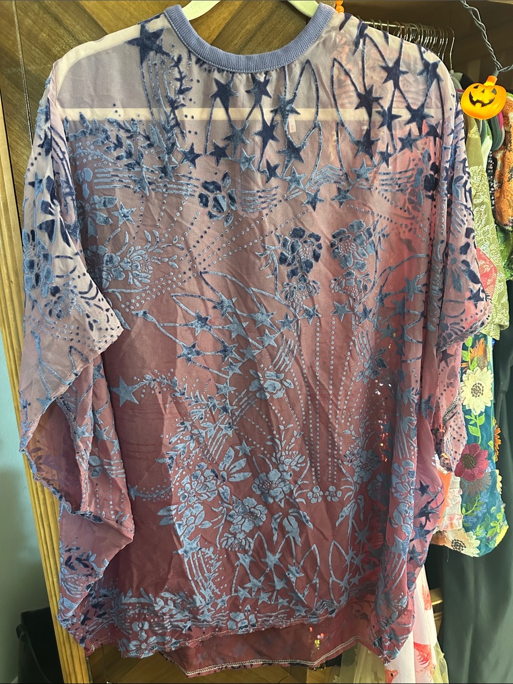 Women’s Free People Sheer Dress/Tunic